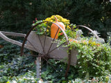 Decorative Wagon and Pumpkin  Ste Genevieve  Missouri  USA