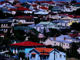 Overhead of Houses in Auckland  Auckland  New Zealand