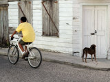 Boy Riding Bike in Front of House  with Stray Dog  Belize City  Belize