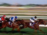 Horse Racing in Action  Melbourne  Australia