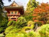 Japanese Tea Garden  Golden Gate Park  San Francisco  California  USA