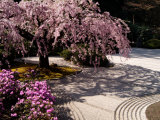 Japanese Gardens in Washington Park  Portland  Oregon  USA
