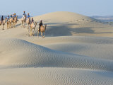 Men Traveling on Camelback Across Sand Dunes  Jaisalmer  Rajasthan  India