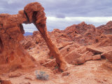 Elephant Rock Sandstone Formation  Valley of Fire State Park  Nevada  USA