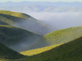 Temblor Range  Overlapping Hills in Fog  Kern County  California  USA