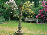 Rhododendron "Pink Pearl " Rhododendron "Milkmaid " Owl House  Kent