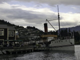Harbor  New Zealand