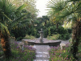 Lamorran House  Cornwall View Down Garden  Statue  Trachycarpus  Osteospermum