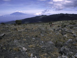 Rocky Terrain with Mountain in the Distance  Kilimanjaro