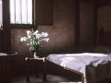 Lilies in Jug Bedroom