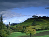 Vineyards in Autumn  Northern Bavaria