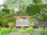 Wooden Bench Below Pyrus Salicifolia with Alchemilla Mollis Growing in the Paving  Worcester