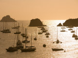 Yachts at Sunset  Gustavia  St Barts