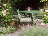Green Metal Table & Chairs Beneath Arbour