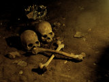 Skull and Cross Bones