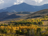 Autumn Descends on the Eastern Sierra Mountains