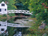 Bridge Over Pond in Somesville  Maine  USA