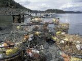 Crab Pots on Shore of Cornet Bay  Whidbey Island  Washington  USA