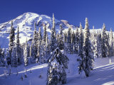 Mount Rainier after a Winter Storm  Mt Rainier National Park  Washington  USA