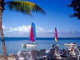Catamarans  Florida Keys  Florida  USA