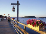 Pier at Frenchman Bay  Maine  USA
