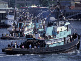 Tugboats Parade of the Seattle Maritime Festival  Elliott Bay  Washington  USA