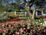 Garden at Prescott Park  New Hampshire  USA