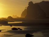 Sunset on Point of Arches  Olympic National Park  Washington  USA