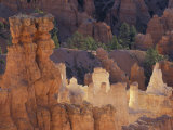 Hoodoos  Bryce Canyon  Bryce Canyon National Park  Utah  USA