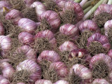 Garlic at Pike Place Market  Seattle  Washington  USA