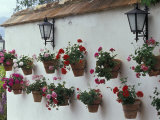 Geraniums along White Wall of Palacio de Mondragon  Ronda  Spain
