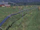 Irrigation Equipment in Hay Field with Bales and Red Barn  Bitteroot Valley  Montana  USA