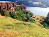 Columbia River Gorge  Oregon  USA