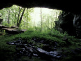 Entrance to Russell Cave National Monument  Alabama  USA