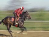 Keenland Horse Race Track  Lexington  Kentucky  USA
