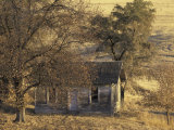 Abandoned Farm House in Wheat Field  Uniontown  Washington  USA