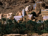 Typical Hadramawt Village with Date Plantation in Foreground  Wadi Daw'an  Yemen