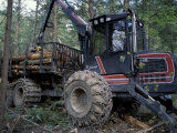 Valmet Forwarder  Green Certification  Logging  Maine  USA