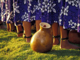 Hula Dancers  Kauai  Hawaii  USA