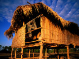 Fisherman's Cottage with Thatched Roof and Walls  Si Phan Don  Laos