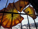 Glass Exhibit at Union Station  Tacoma  Washington  USA