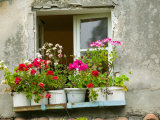 Window in Old Town  Istria  Croatia