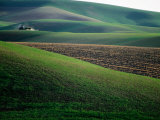 Rolling Hills and Ploughed Field in Spring  Palouse  USA