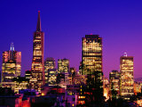 Transamerica Pyramid and City Buildings  San Francisco  United States of America