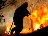 A Fire Fighter Retreats from a Forest Fire Near Fraldeu  Central Portugal