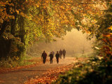 Walkers Among Trees in Autumn Foliage  Seattle  USA
