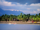 Palms and Beach  Sheraton Royale Hotel  Fiji