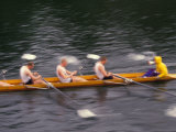 Rowing Shell in Montlake Cut  Seattle  Washington  USA