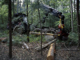 Valmet Forwarder  Green Certification  Logging  Maine  USA