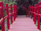 Red Bridge  Magnolia Plantation and Gardens  Charleston  South Carolina  USA
